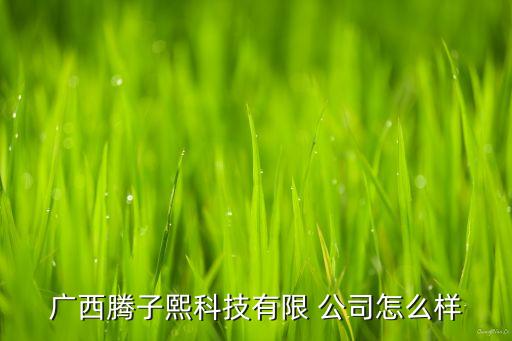 廣西騰子熙科技有限 公司怎么樣