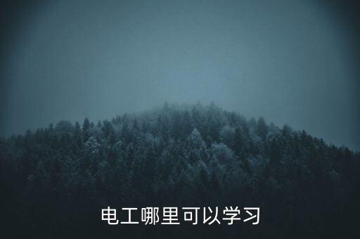 電氣自動化參加的培訓(xùn),電氣自動化技術(shù)專業(yè)的課程有哪些?