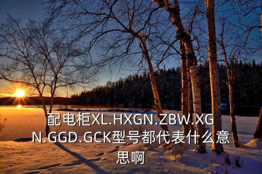 配電柜XL.HXGN.ZBW.XGN.GGD.GCK型號(hào)都代表什么意思啊