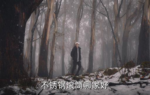 不銹鋼滾筒哪家好