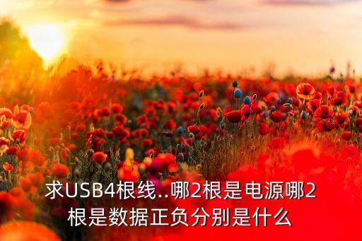 求USB4根線..哪2根是電源哪2根是數(shù)據(jù)正負(fù)分別是什么
