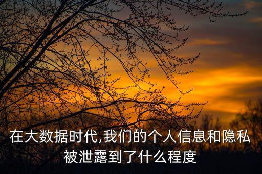 大數(shù)據(jù)扒個(gè)人信息,大數(shù)據(jù)時(shí)代的個(gè)人信息保護(hù)狀況