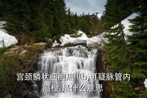 llb,宮頸癌llb如何創(chuàng)建和使用?