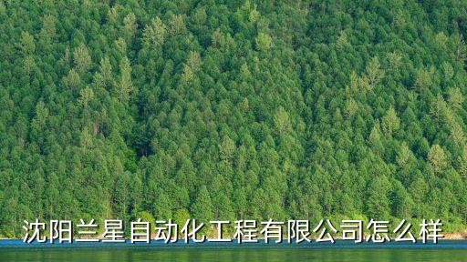 沈陽(yáng)蘭星自動(dòng)化工程有限公司怎么樣