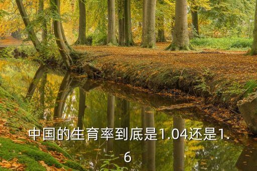 中國(guó)的生育率到底是1.04還是1.6
