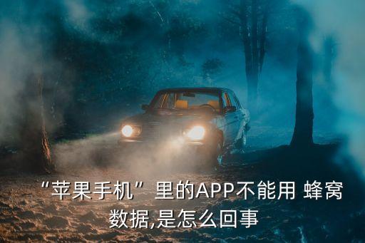 “蘋果手機”里的APP不能用 蜂窩 數(shù)據(jù),是怎么回事