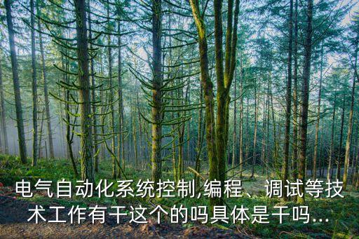 江蘇富士自動化設(shè)備調(diào)試是干嘛的,