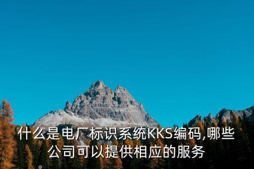什么是電廠標(biāo)識系統(tǒng)KKS編碼,哪些公司可以提供相應(yīng)的服務(wù)