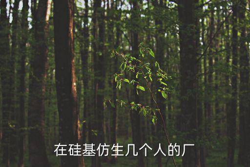 在硅基仿生幾個人的廠