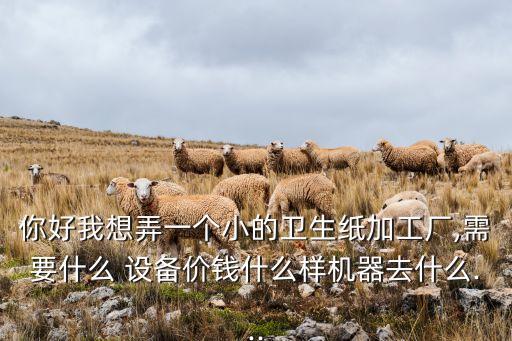 你好我想弄一個小的衛(wèi)生紙加工廠,需要什么 設(shè)備價錢什么樣機(jī)器去什么...