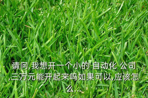 請問,我想開一個小的 自動化 公司,三萬元能開起來嗎如果可以,應該怎么...