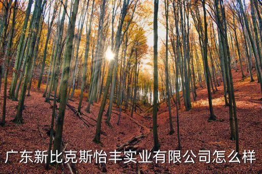 怡豐自動化公司,怡豐摩托車電池怎么樣?