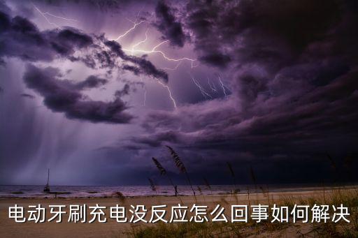 電動牙刷充電沒反應怎么回事如何解決