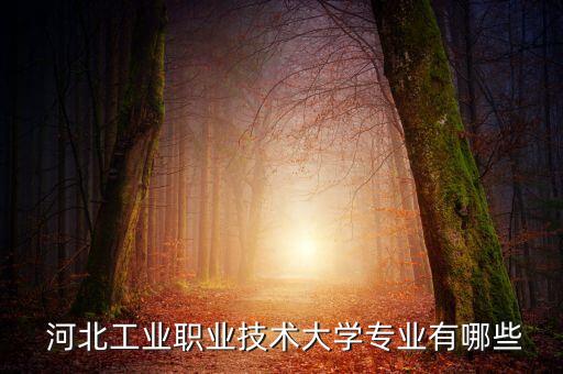  河北工業(yè)職業(yè)技術(shù)大學(xué)專業(yè)有哪些