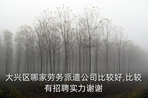 大興區(qū)哪家勞務(wù)派遣公司比較好,比較有招聘實(shí)力謝謝