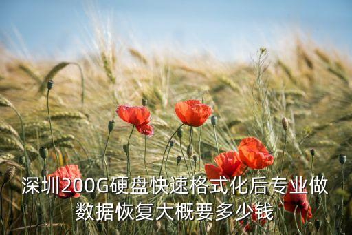 深圳200G硬盤快速格式化后專業(yè)做數(shù)據(jù)恢復大概要多少錢