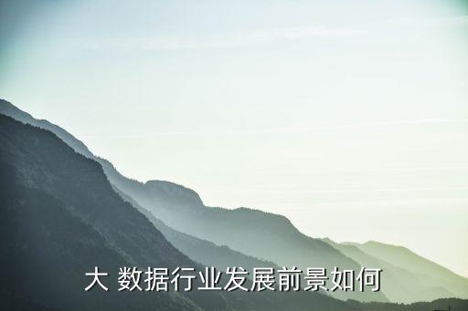 大 數(shù)據(jù)行業(yè)發(fā)展前景如何