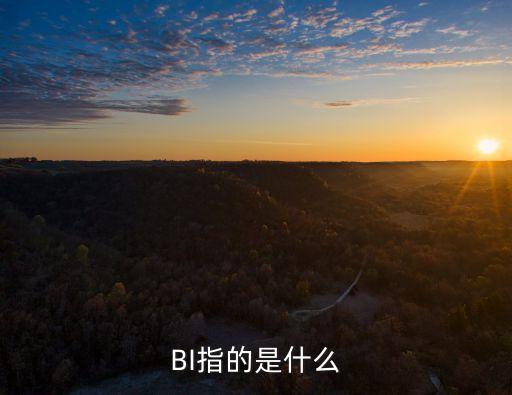 BI指的是什么