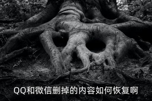 QQ和微信刪掉的內(nèi)容如何恢復(fù)啊