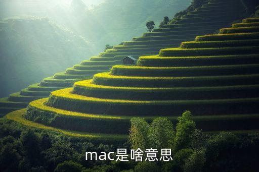 macos是什么意思,mac是什么意思?
