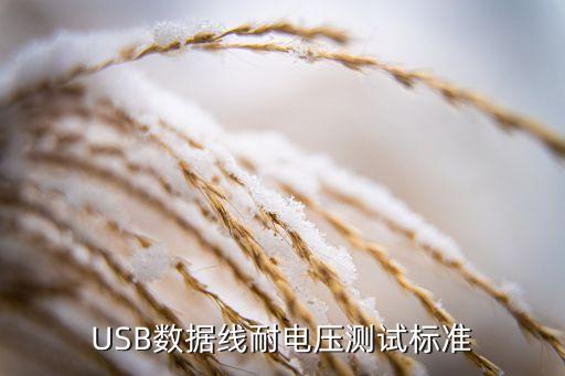 USB數(shù)據(jù)線耐電壓測(cè)試標(biāo)準(zhǔn)