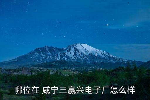 哪位在 咸寧三贏興電子廠怎么樣