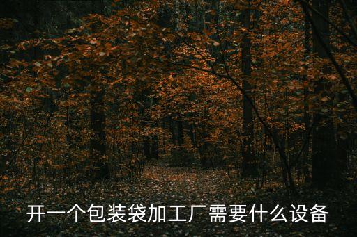 開一個(gè)包裝袋加工廠需要什么設(shè)備