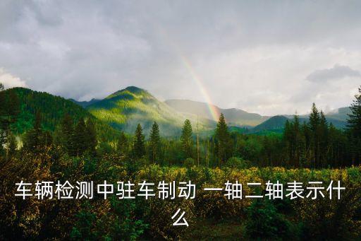 車輛檢測中駐車制動 一軸二軸表示什么