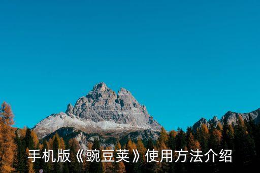 豌豆莢數(shù)據(jù)包怎么用,豌豆莢怎么用?怎么傳照片和視頻?
