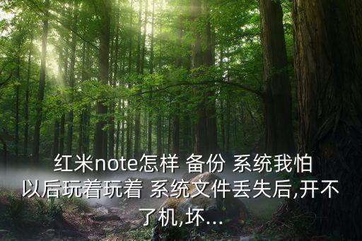  紅米note怎樣 備份 系統(tǒng)我怕以后玩著玩著 系統(tǒng)文件丟失后,開不了機(jī),壞...