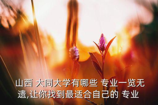  山西 大同大學(xué)有哪些 專業(yè)一覽無(wú)遺,讓你找到最適合自己的 專業(yè)
