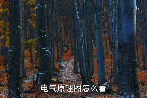 電工自動化設(shè)備電路圖講解,看懂電工電路圖怎么做?