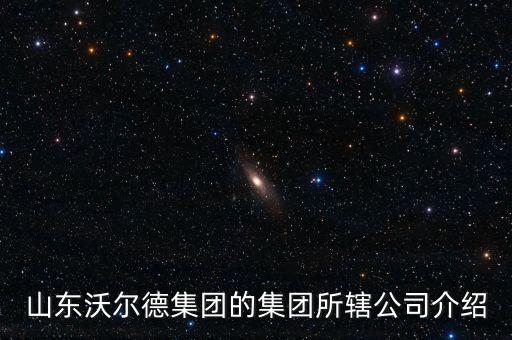 煙臺速順自動(dòng)化設(shè)備,煙臺鴻晟自動(dòng)化設(shè)備有限公司