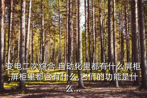 變電二次綜合 自動化里都有什么屏柜,屏柜里都含有什么,它們的功能是什么...