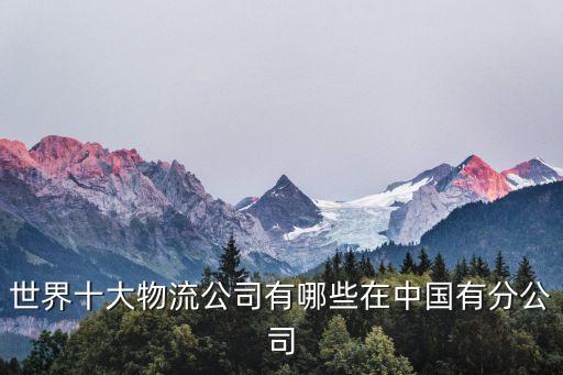 世界十大物流公司有哪些在中國(guó)有分公司