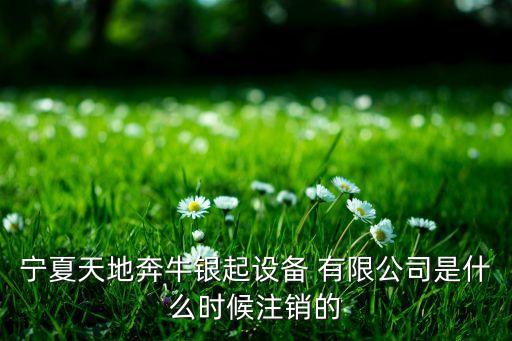 寧夏天地奔牛銀起設(shè)備 有限公司是什么時(shí)候注銷(xiāo)的