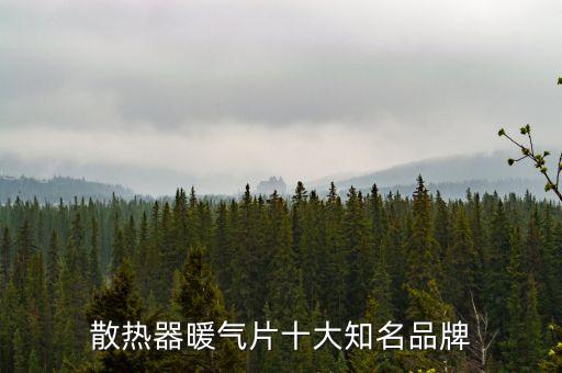 散熱器暖氣片十大知名品牌