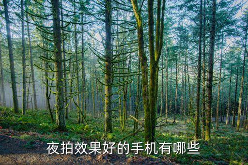 夜拍效果好的手機(jī)有哪些