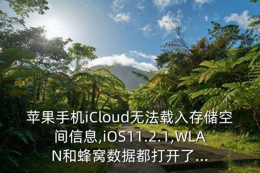 蘋果手機iCloud無法載入存儲空間信息,iOS11.2.1,WLAN和蜂窩數(shù)據(jù)都打開了...