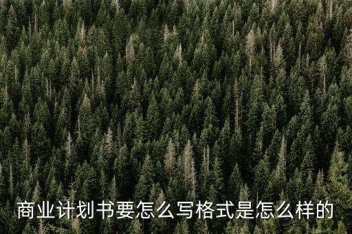 商業(yè)計(jì)劃書要怎么寫格式是怎么樣的