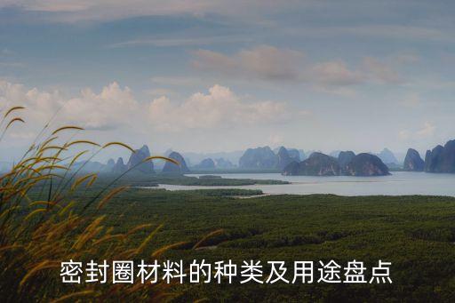 密封圈粘帖自動(dòng)化設(shè)備,密封圈檢測(cè)設(shè)備有哪些?看這里!