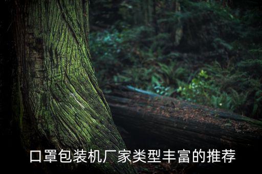  口罩包裝機(jī)廠家類型豐富的推薦
