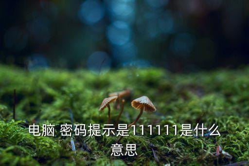 電腦 密碼提示是111111是什么意思