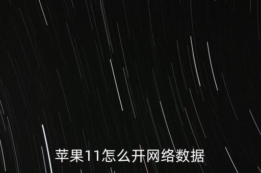 蘋果11怎么開網(wǎng)絡(luò)數(shù)據(jù)