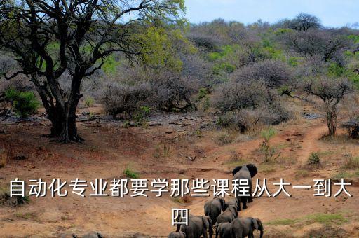 計(jì)算機(jī)與自動(dòng)化系專業(yè)課程,大學(xué)計(jì)算機(jī)專業(yè)有哪些課程?