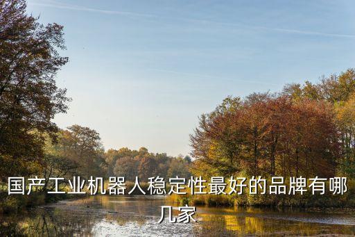 國產(chǎn)工業(yè)機器人穩(wěn)定性最好的品牌有哪幾家