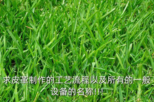 求皮革制作的工藝流程以及所有的一般設備的名稱!!!