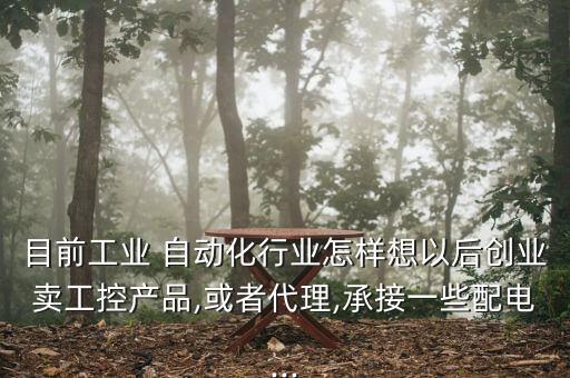 目前工業(yè) 自動化行業(yè)怎樣想以后創(chuàng)業(yè)賣工控產(chǎn)品,或者代理,承接一些配電...