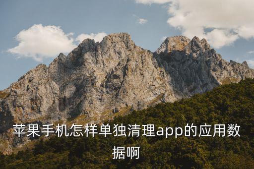 蘋果手機(jī)怎樣單獨(dú)清理app的應(yīng)用數(shù)據(jù)啊