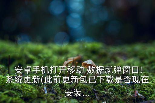 安卓 限制背景數(shù)據(jù),miui12.5安卓數(shù)據(jù)訪問限制